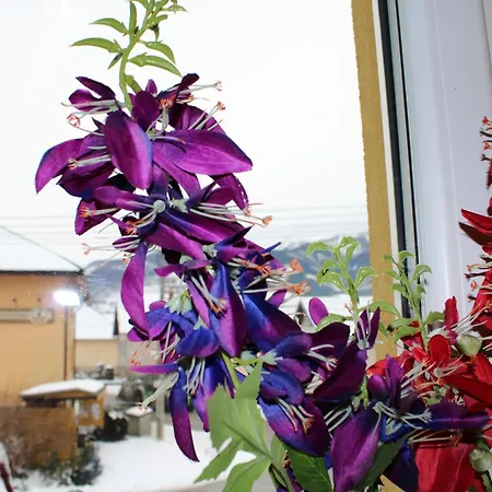 U Jurka Апарт-отель