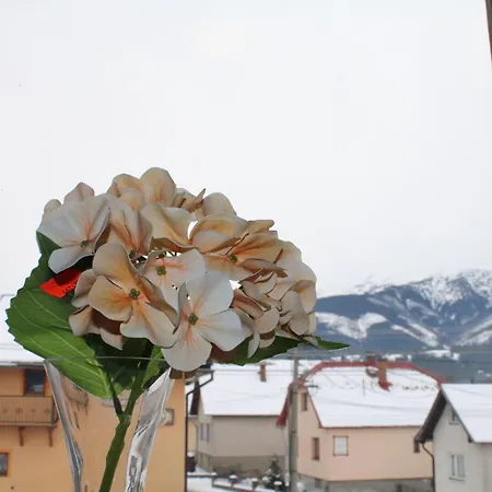 U Jurka Зуберец